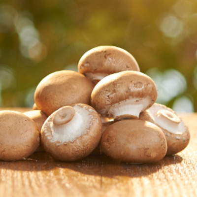 Mbio mushrooms