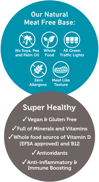 MBio meat free blend infographic